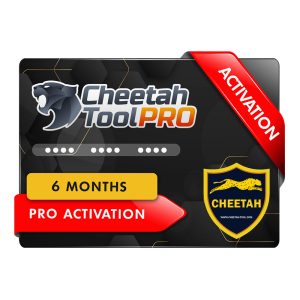 Cheetah 6Month